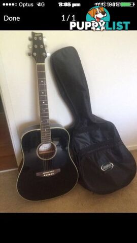 Ashton acoustic guitar