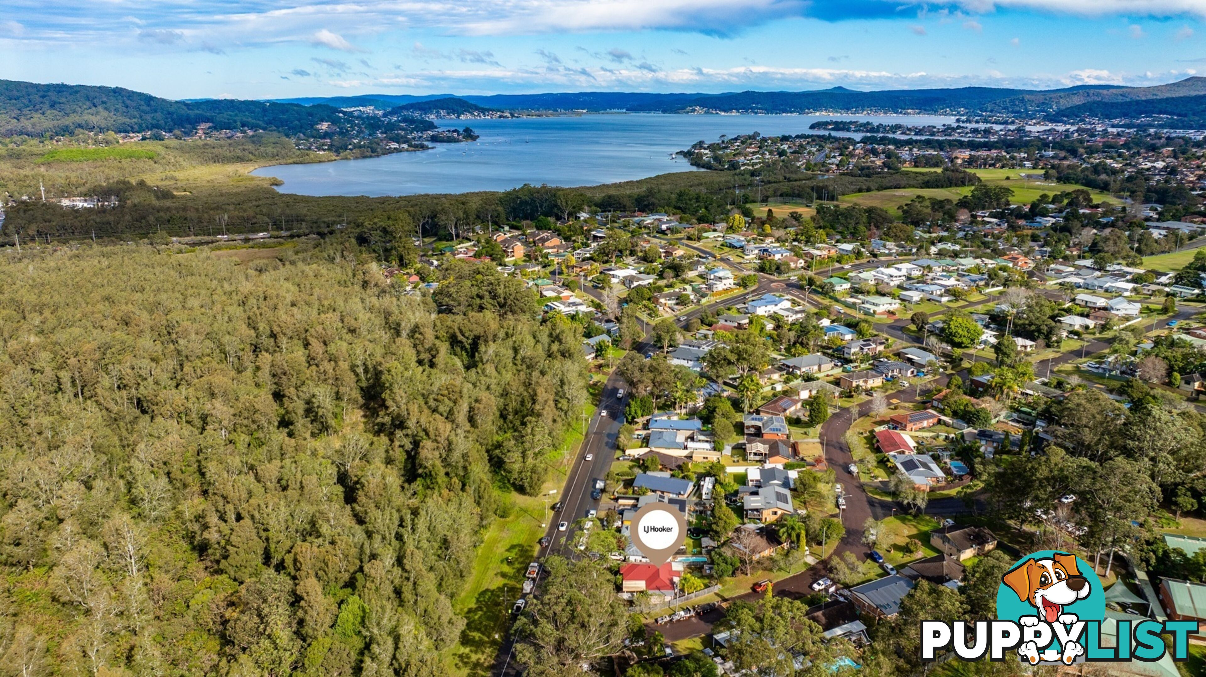 194 Wells Street SPRINGFIELD NSW 2250