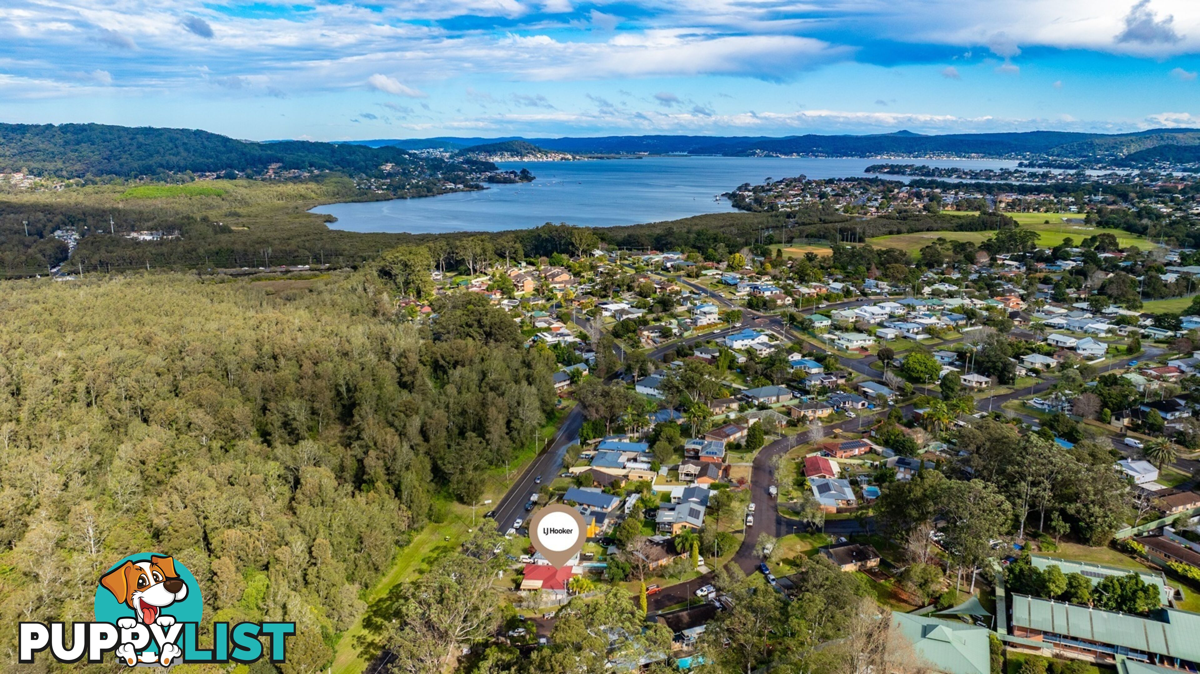 194 Wells Street SPRINGFIELD NSW 2250