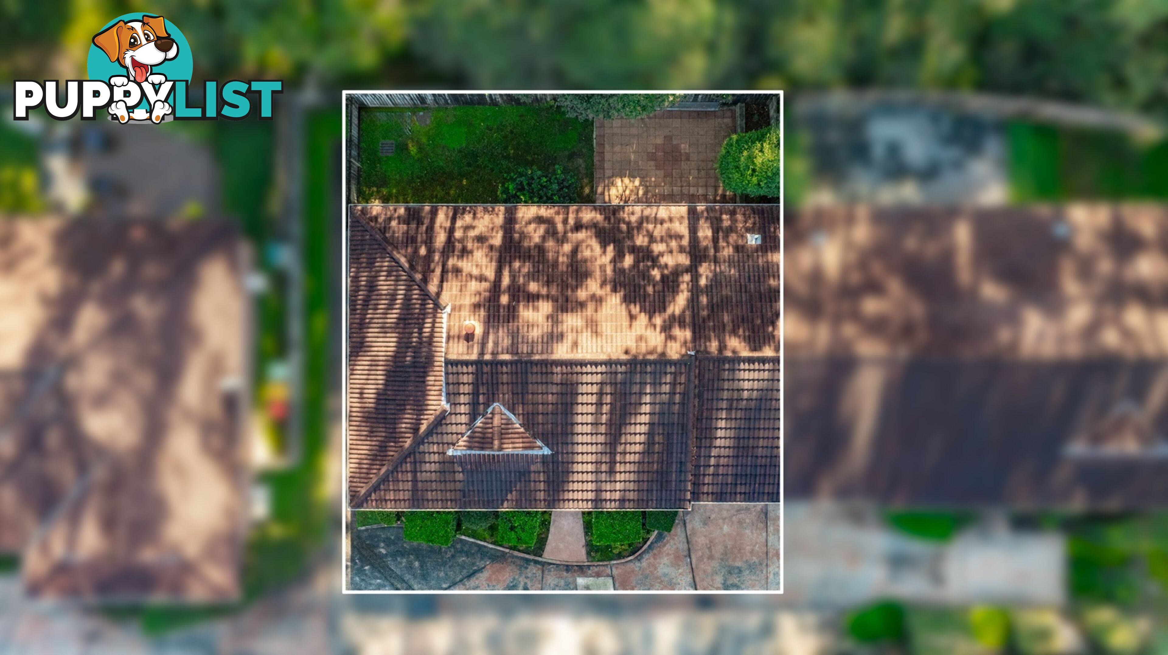 8/33 Newling Street LISAROW NSW 2250