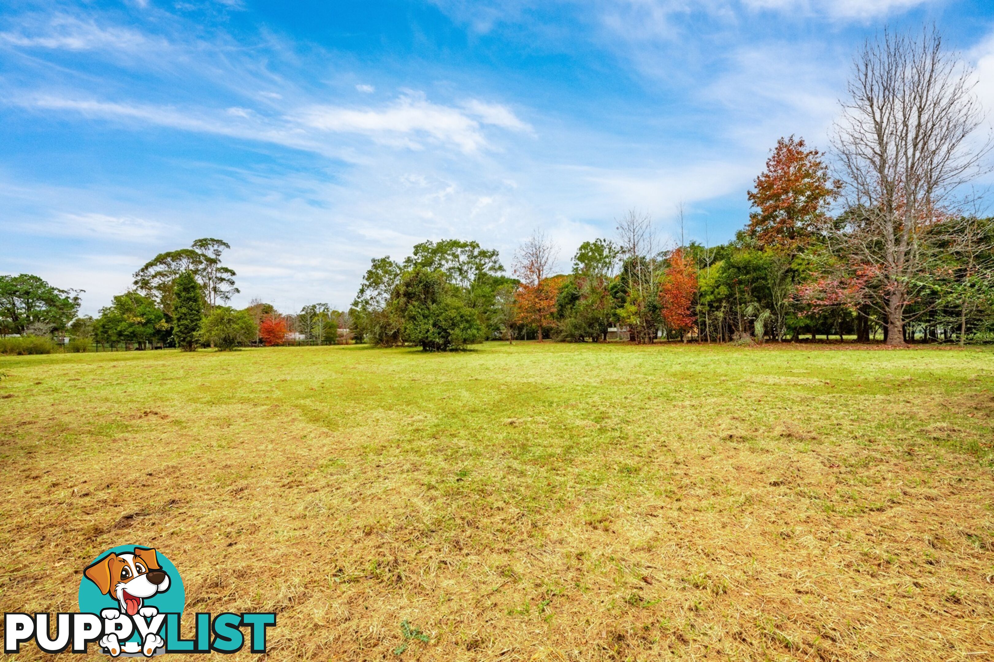 274 Pacific Highway OURIMBAH NSW 2258
