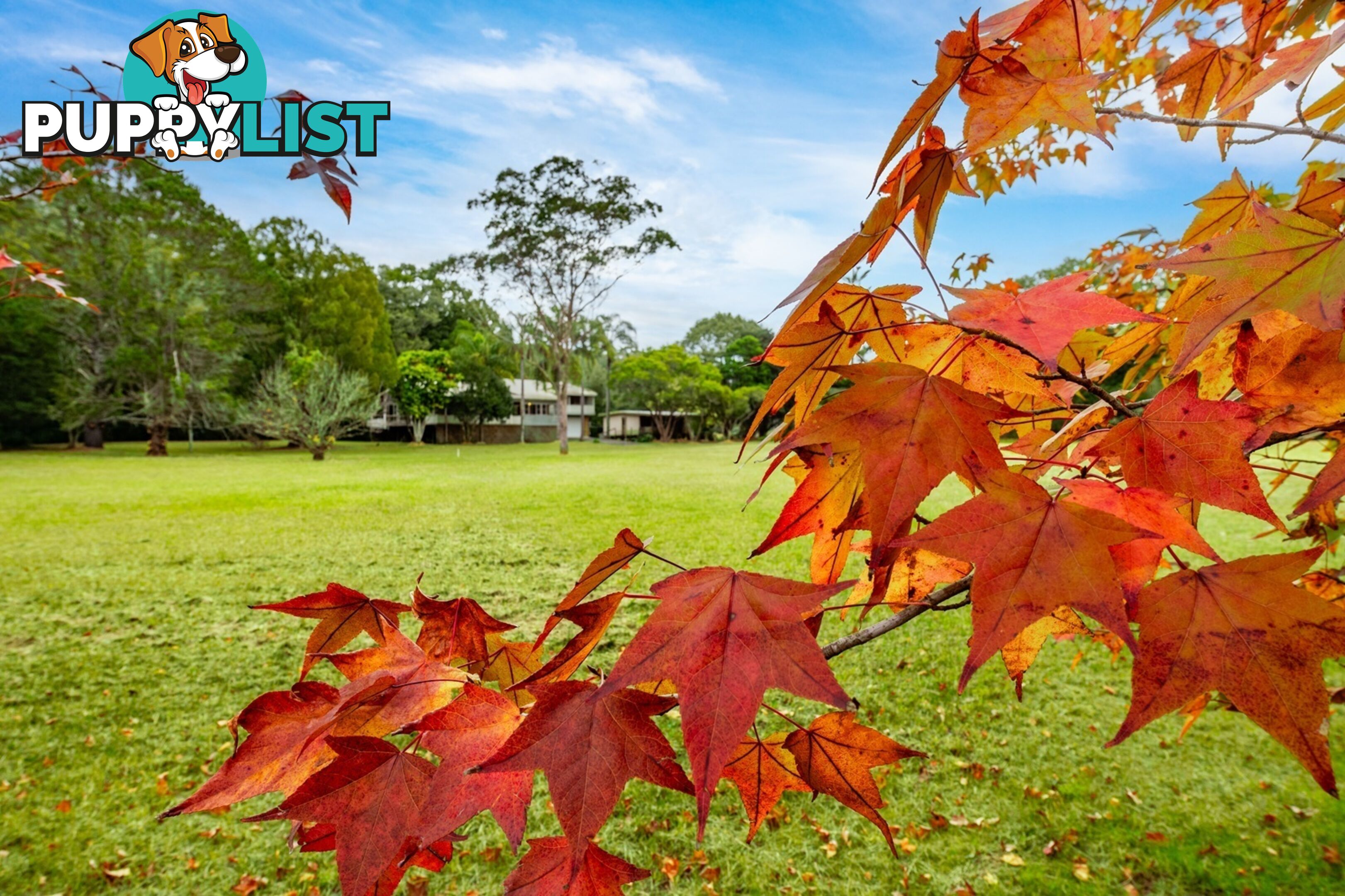 274 Pacific Highway OURIMBAH NSW 2258