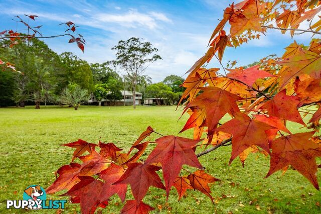 274 Pacific Highway OURIMBAH NSW 2258