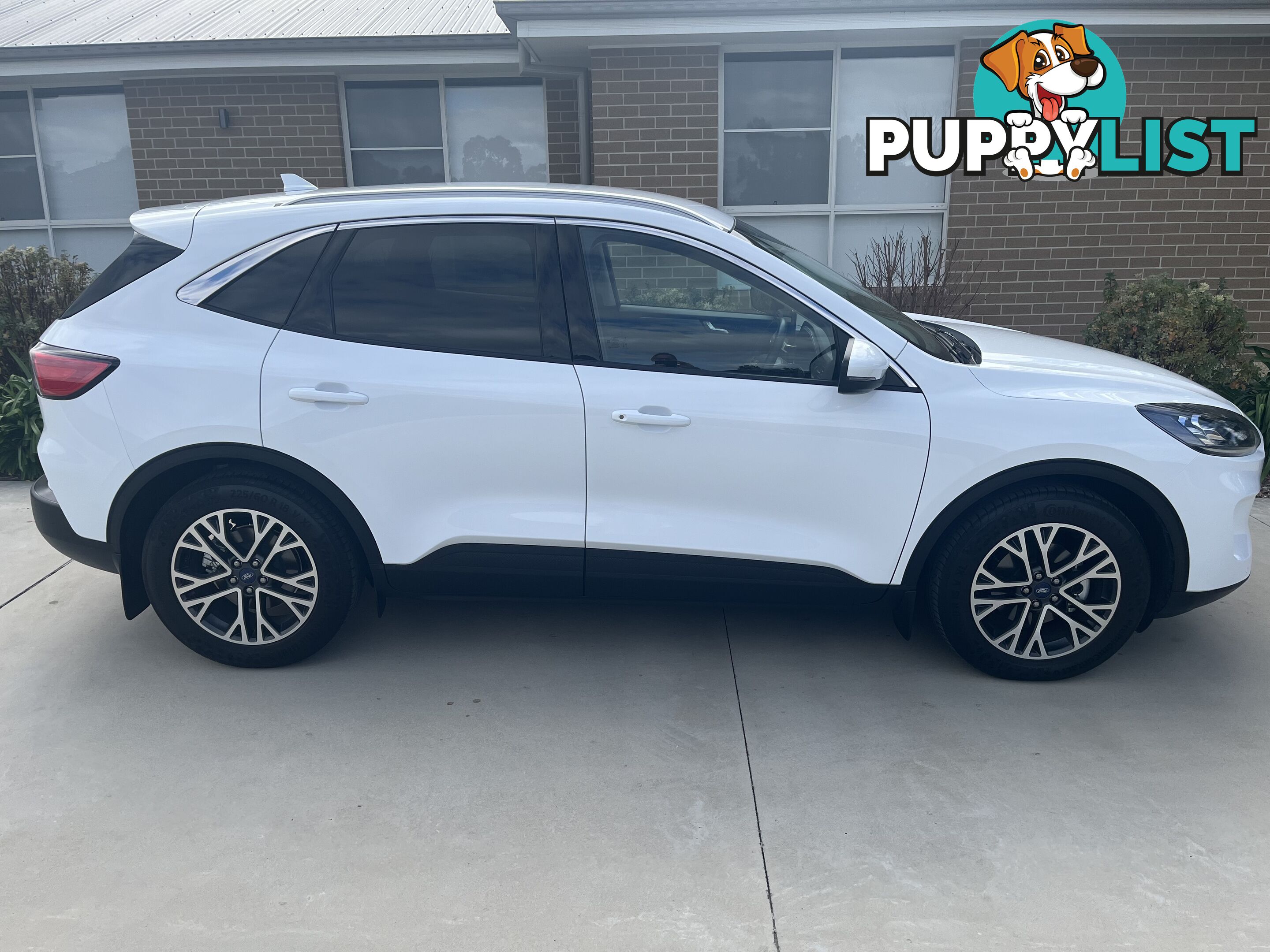 2021 Ford Escape Wagon Automatic