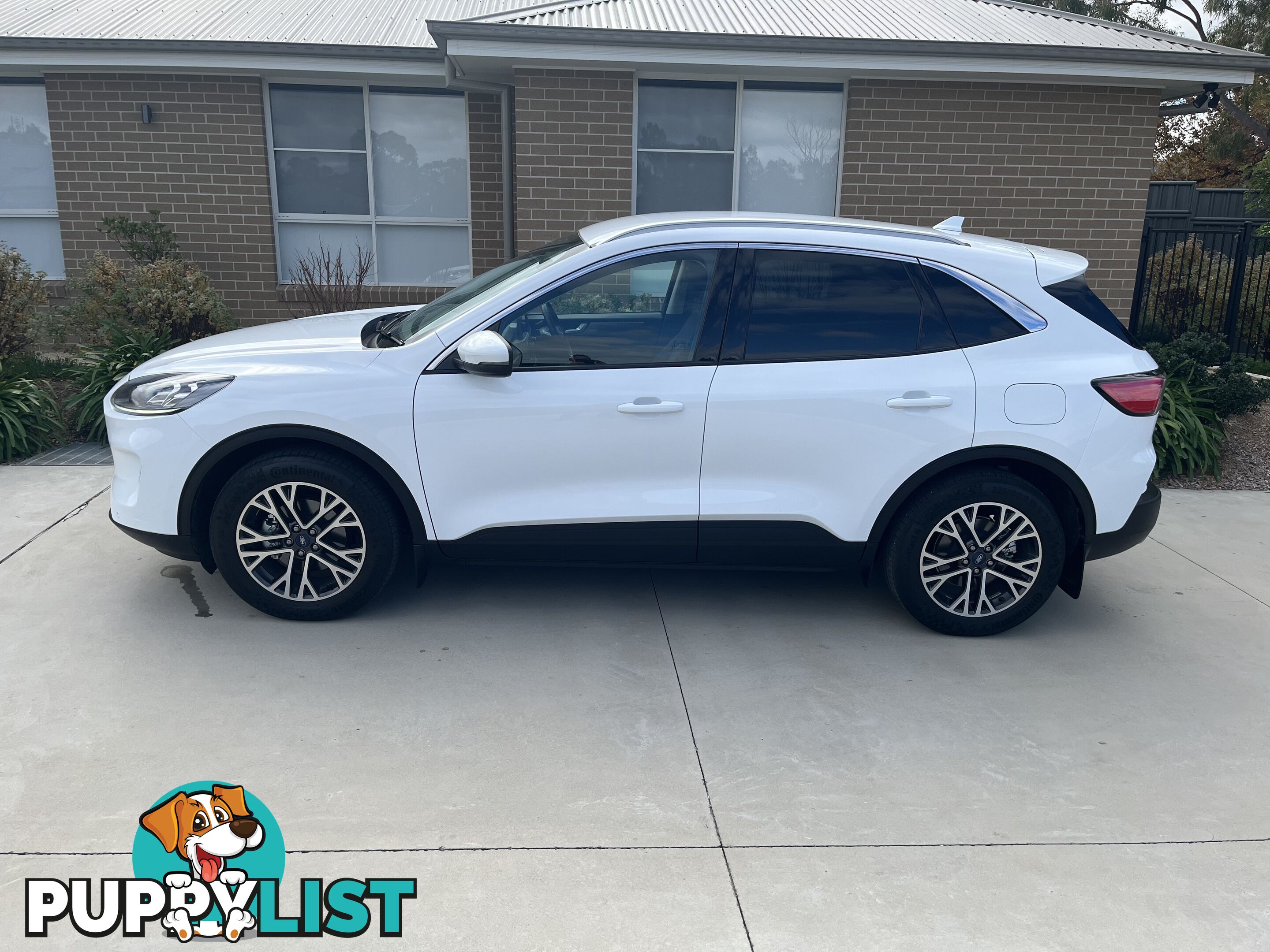 2021 Ford Escape Wagon Automatic