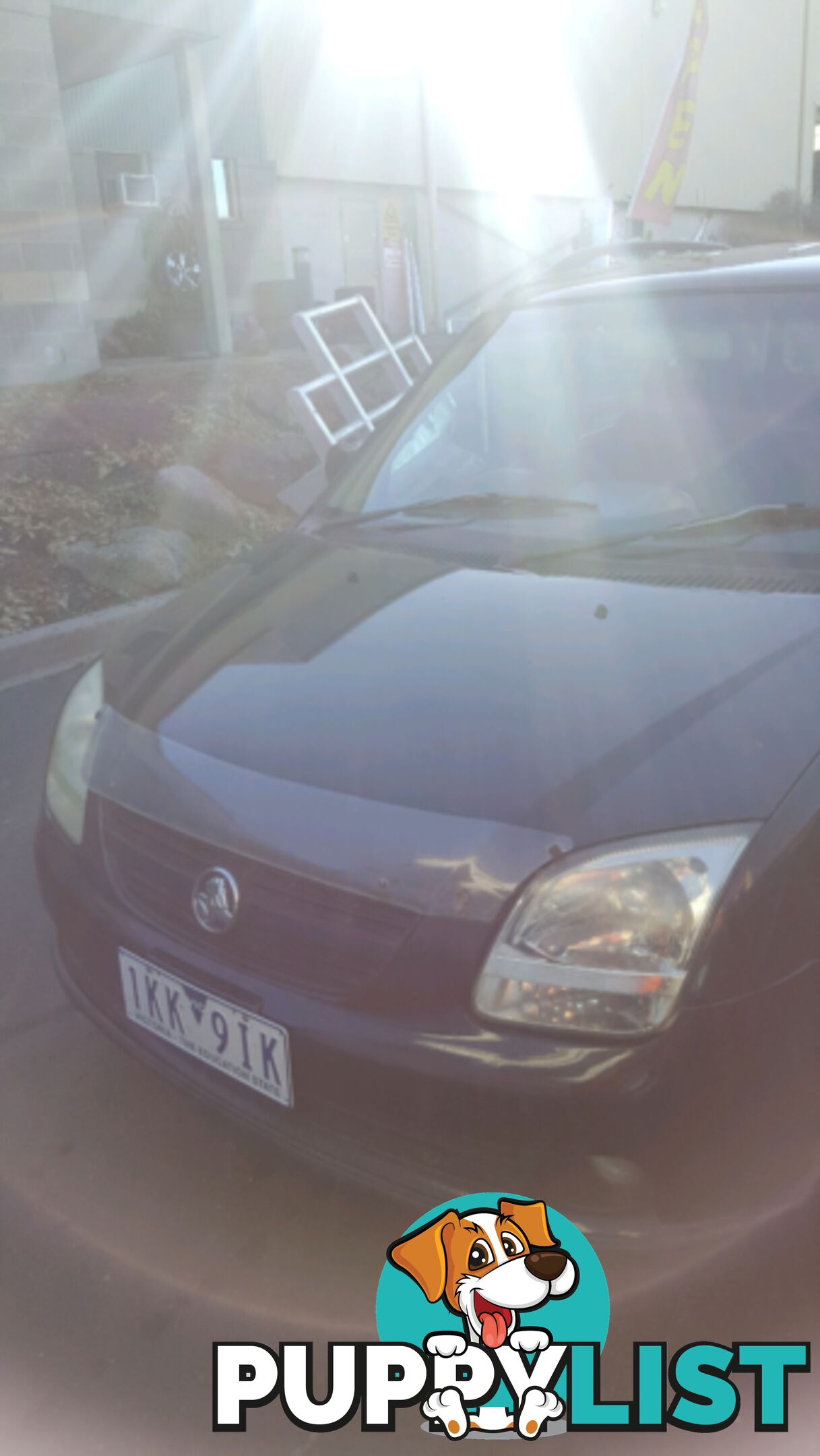 2003 HOLDEN CRUZE YG 4D WAGON