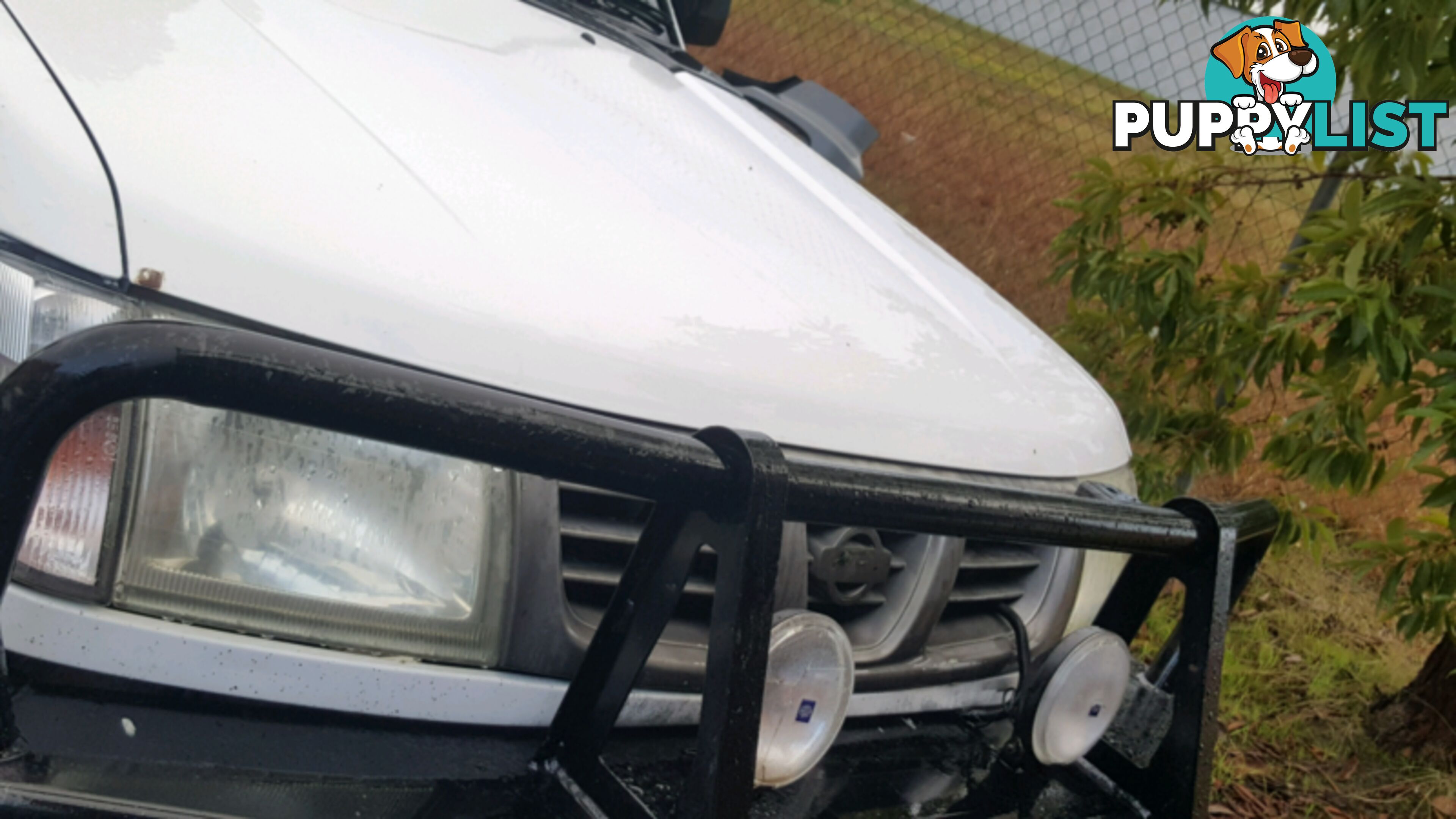 2001 Nissan Navara