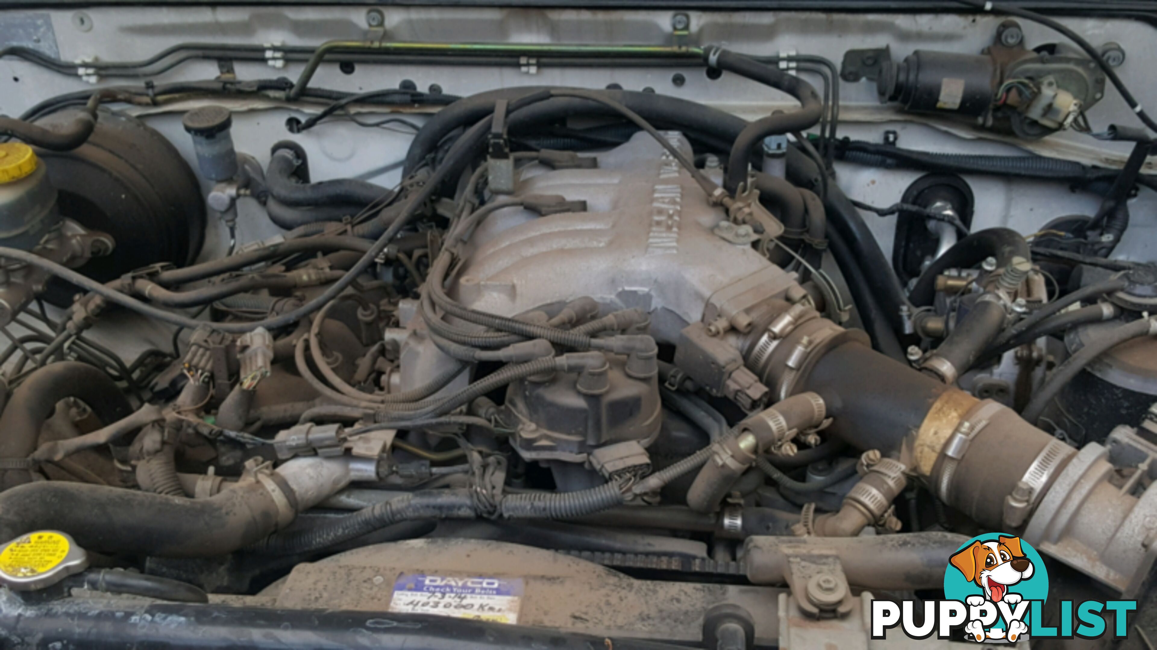2001 Nissan Navara