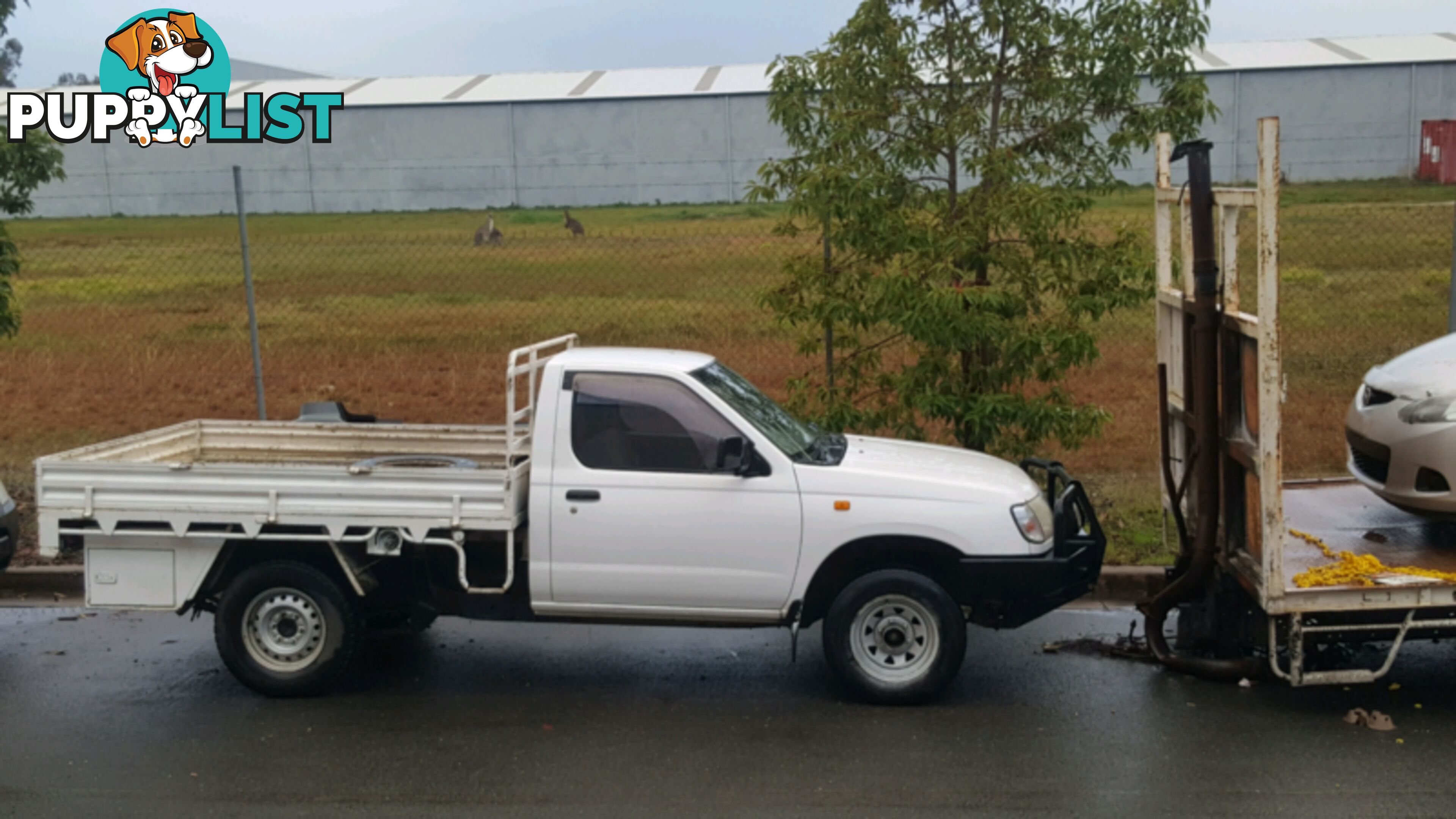 2001 Nissan Navara