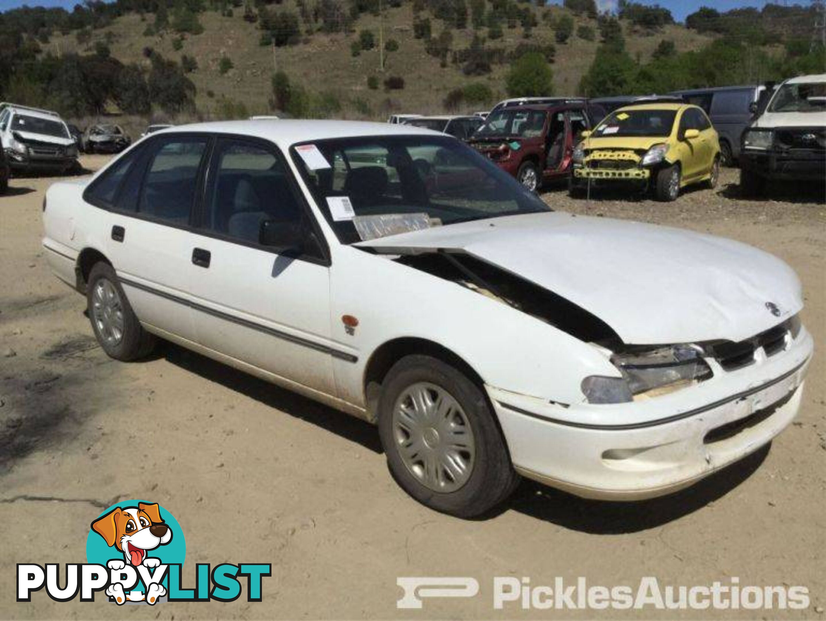 10/96, Holden, Commodore, Sedan