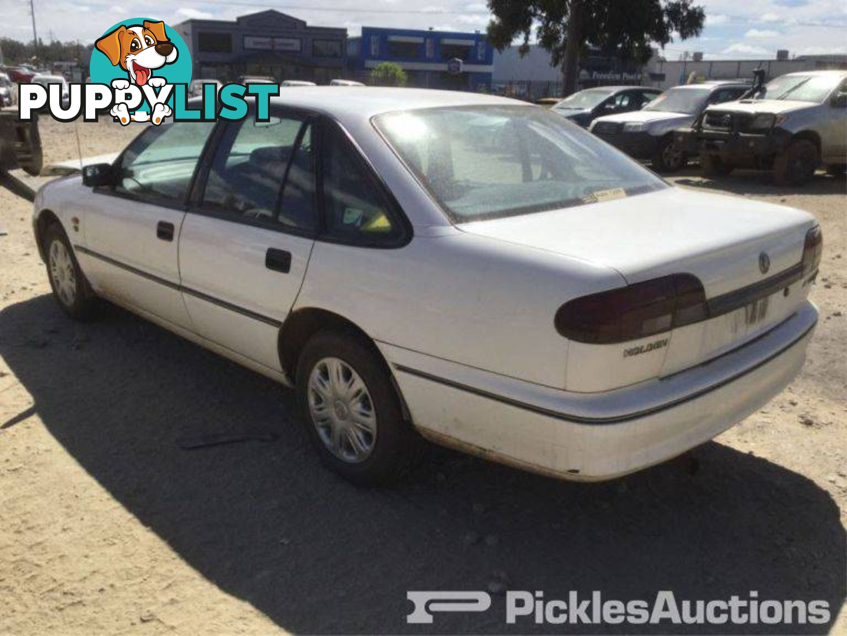 10/96, Holden, Commodore, Sedan