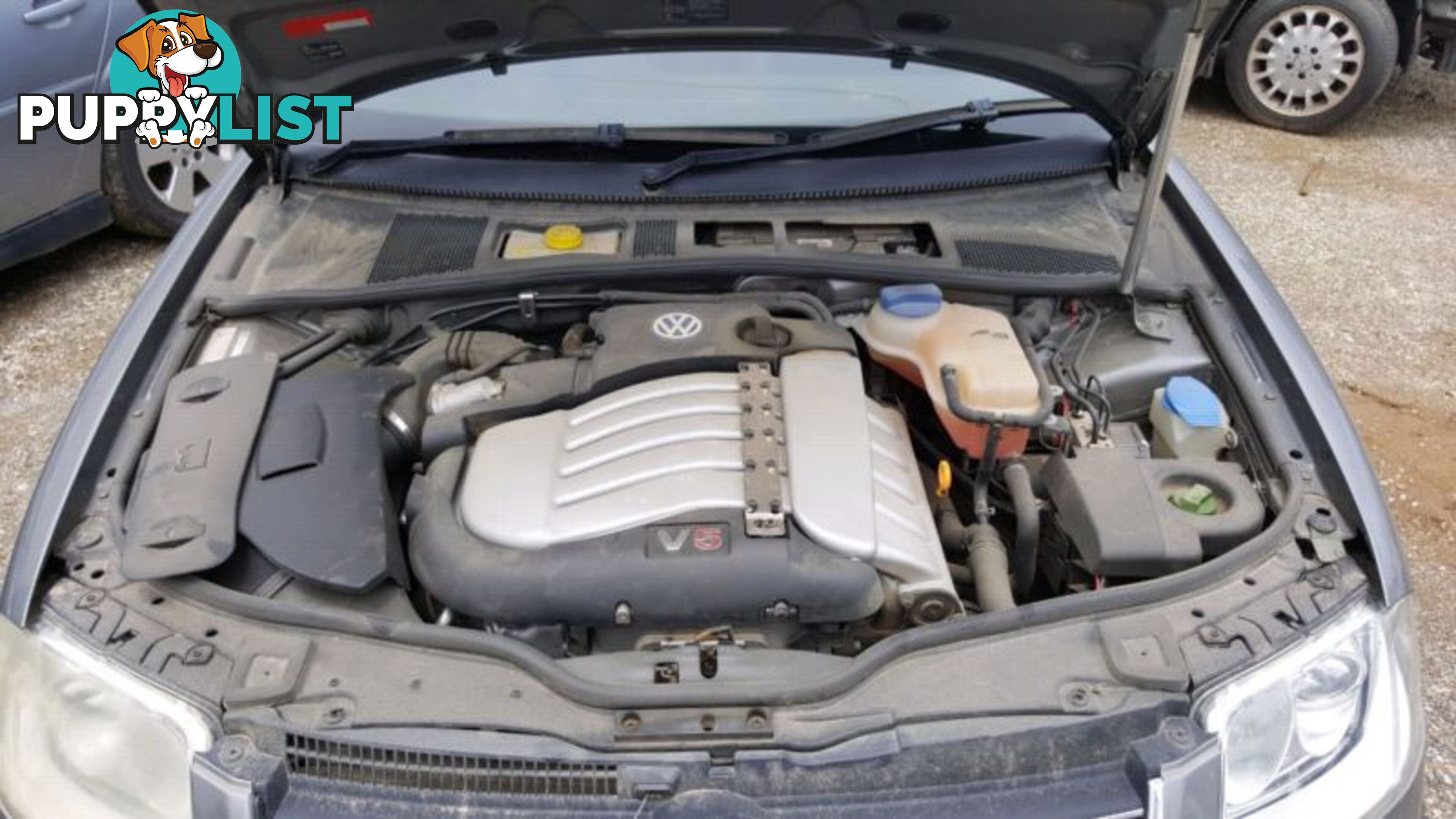 2002 , Volkswagen Passat SE V5