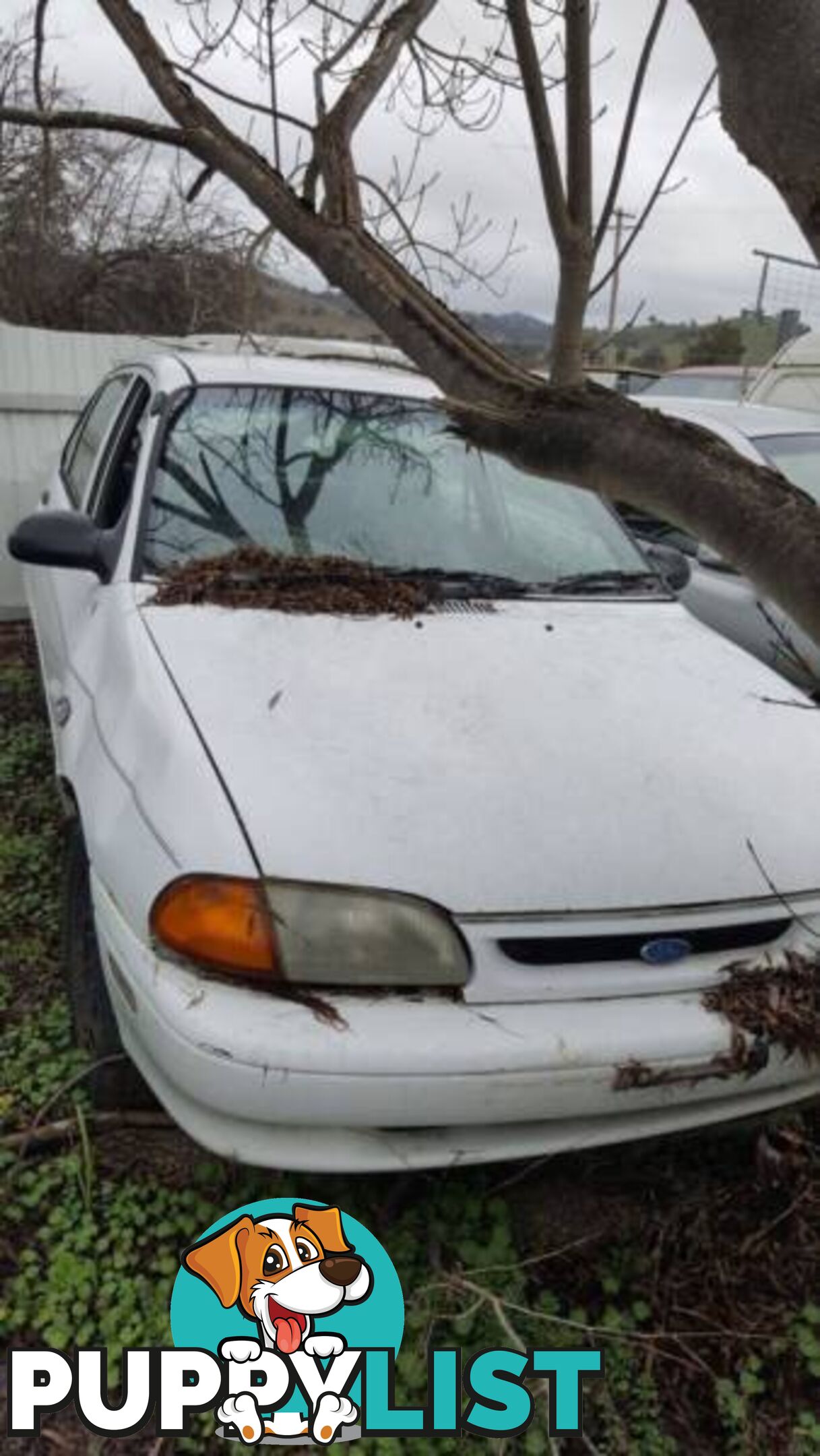 1995 Ford Festiva Sedan