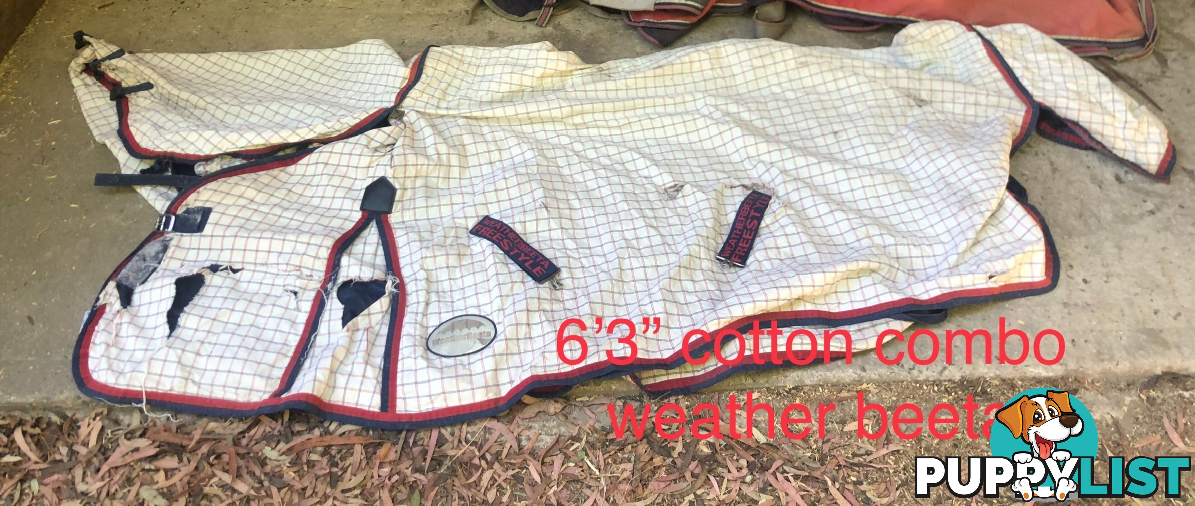 6’3” horse rugs range of cottons, woollen ll, winter standards and combos