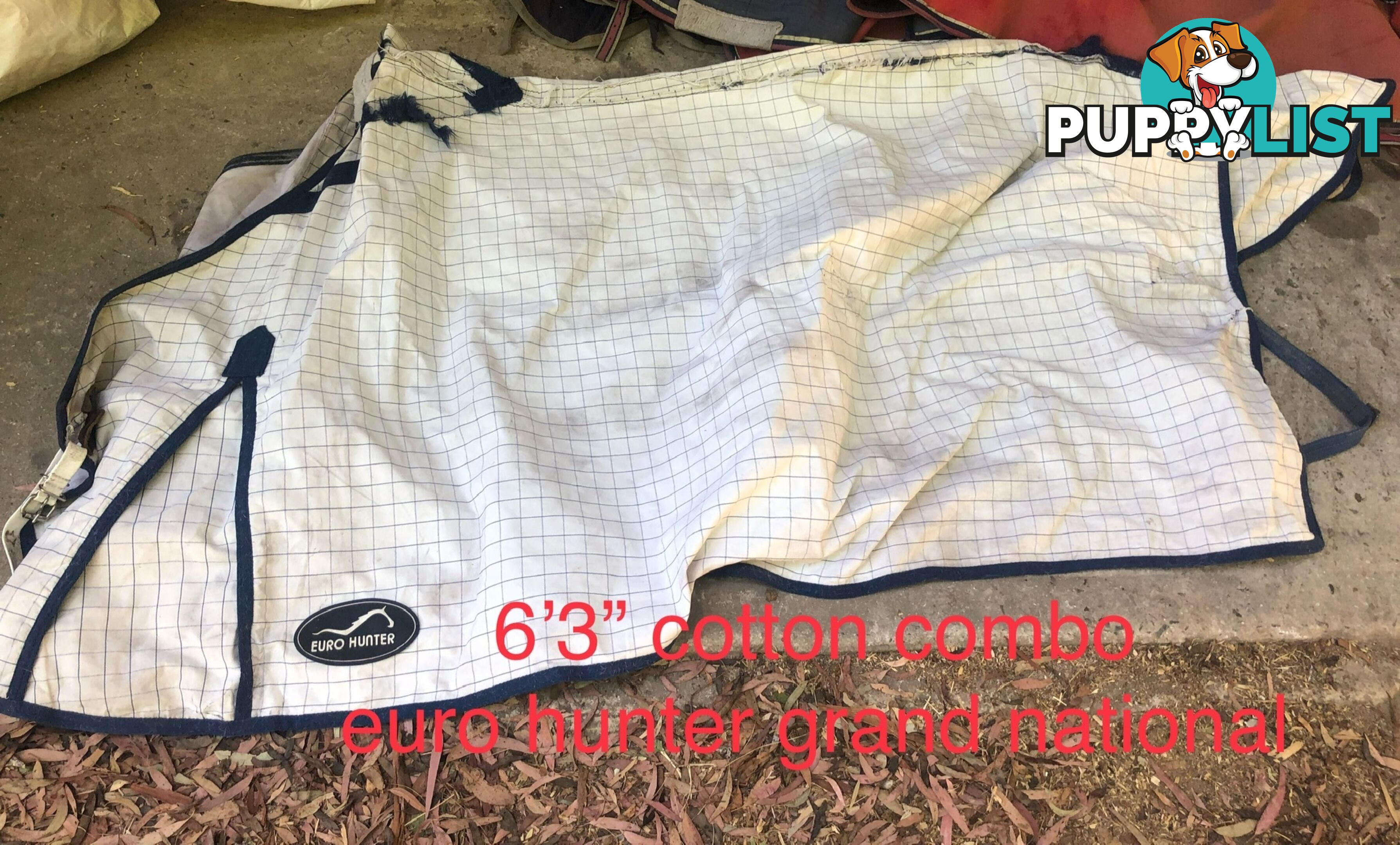 6’3” horse rugs range of cottons, woollen ll, winter standards and combos