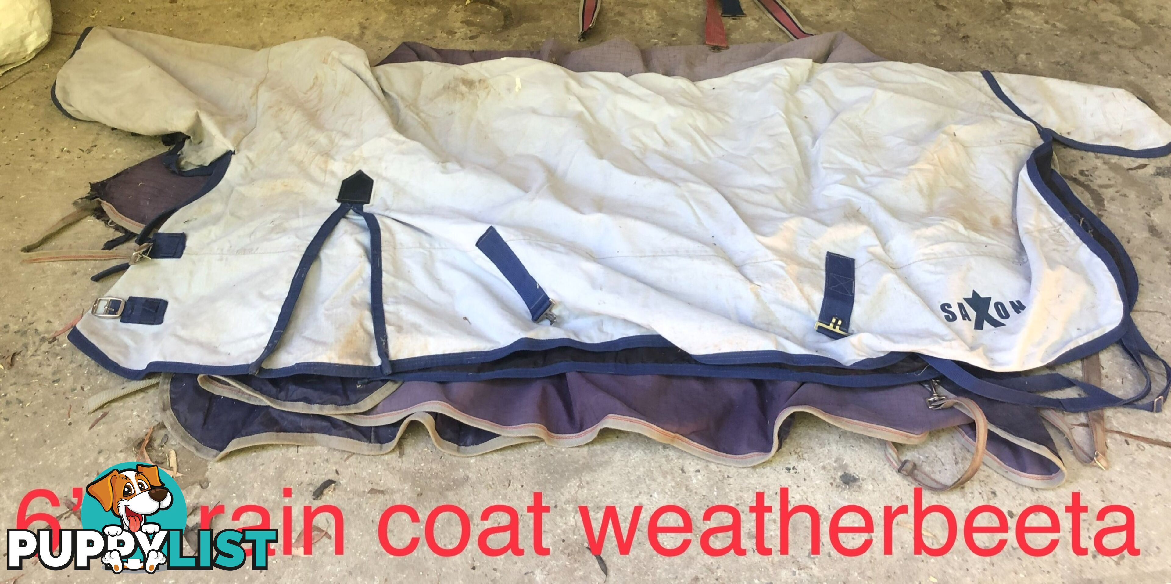 6’3” horse rugs range of cottons, woollen ll, winter standards and combos