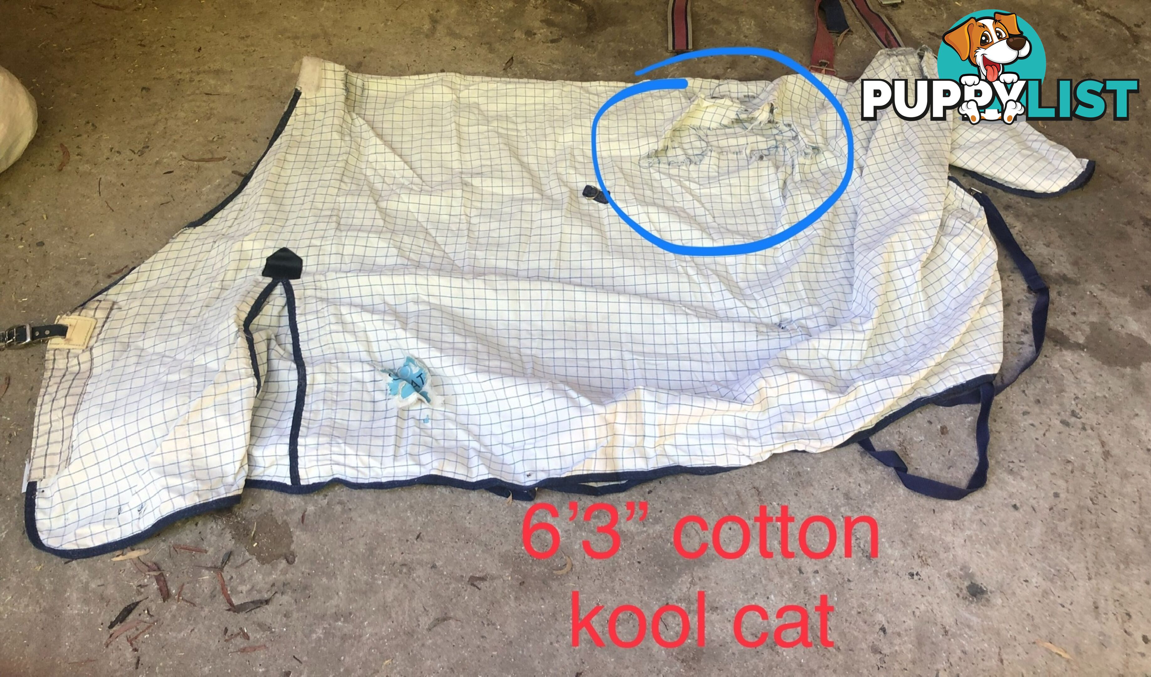6’3” horse rugs range of cottons, woollen ll, winter standards and combos