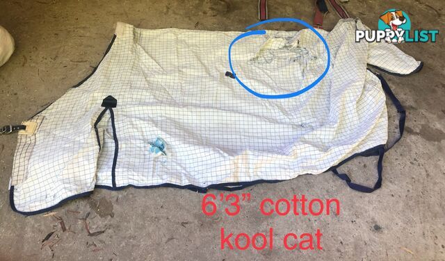 6’3” horse rugs range of cottons, woollen ll, winter standards and combos