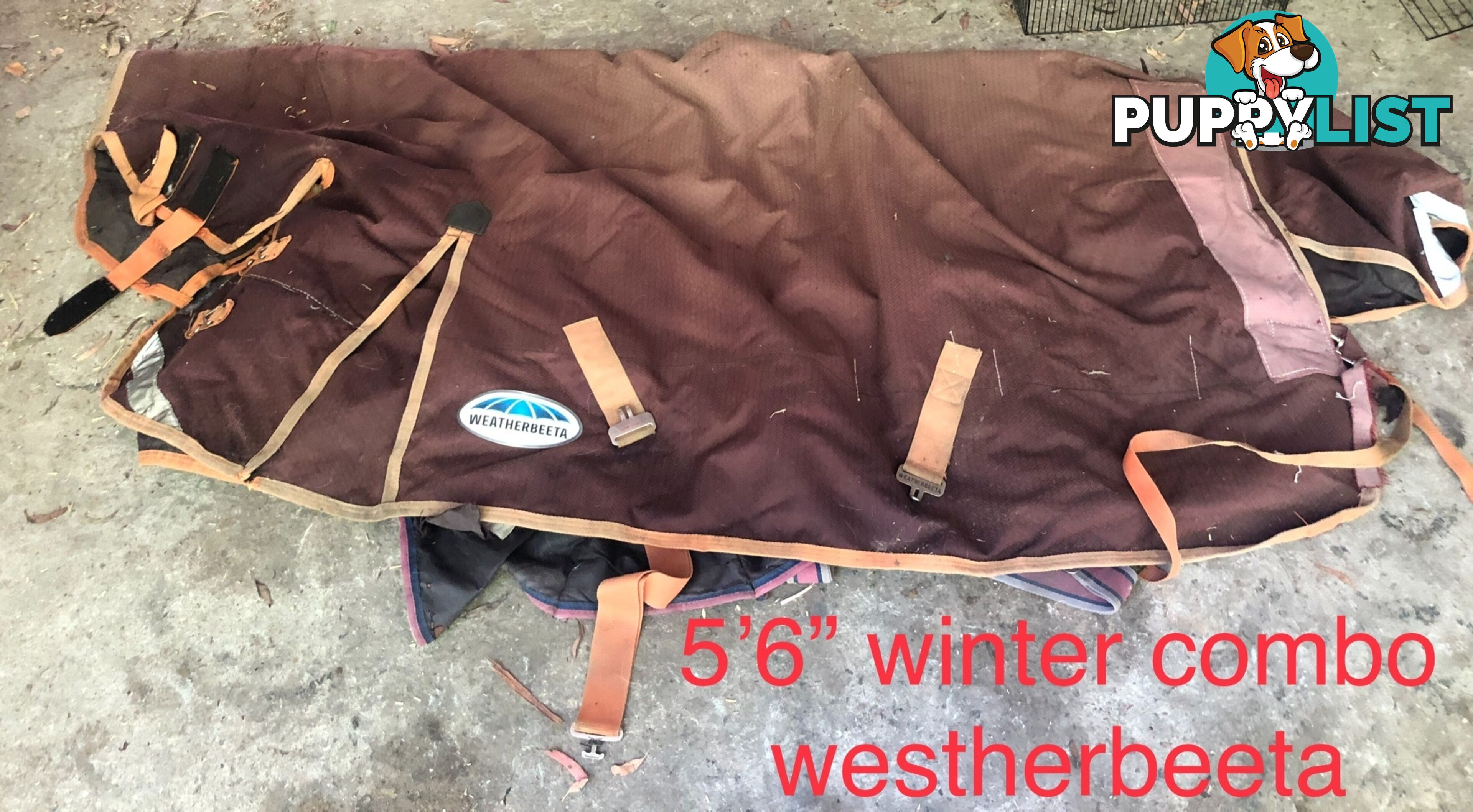 5’3” horse rugs range of cotton, wool, winter standards and combos