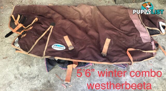 5’3” horse rugs range of cotton, wool, winter standards and combos