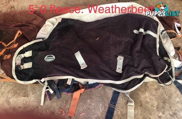 5’3” horse rugs range of cotton, wool, winter standards and combos