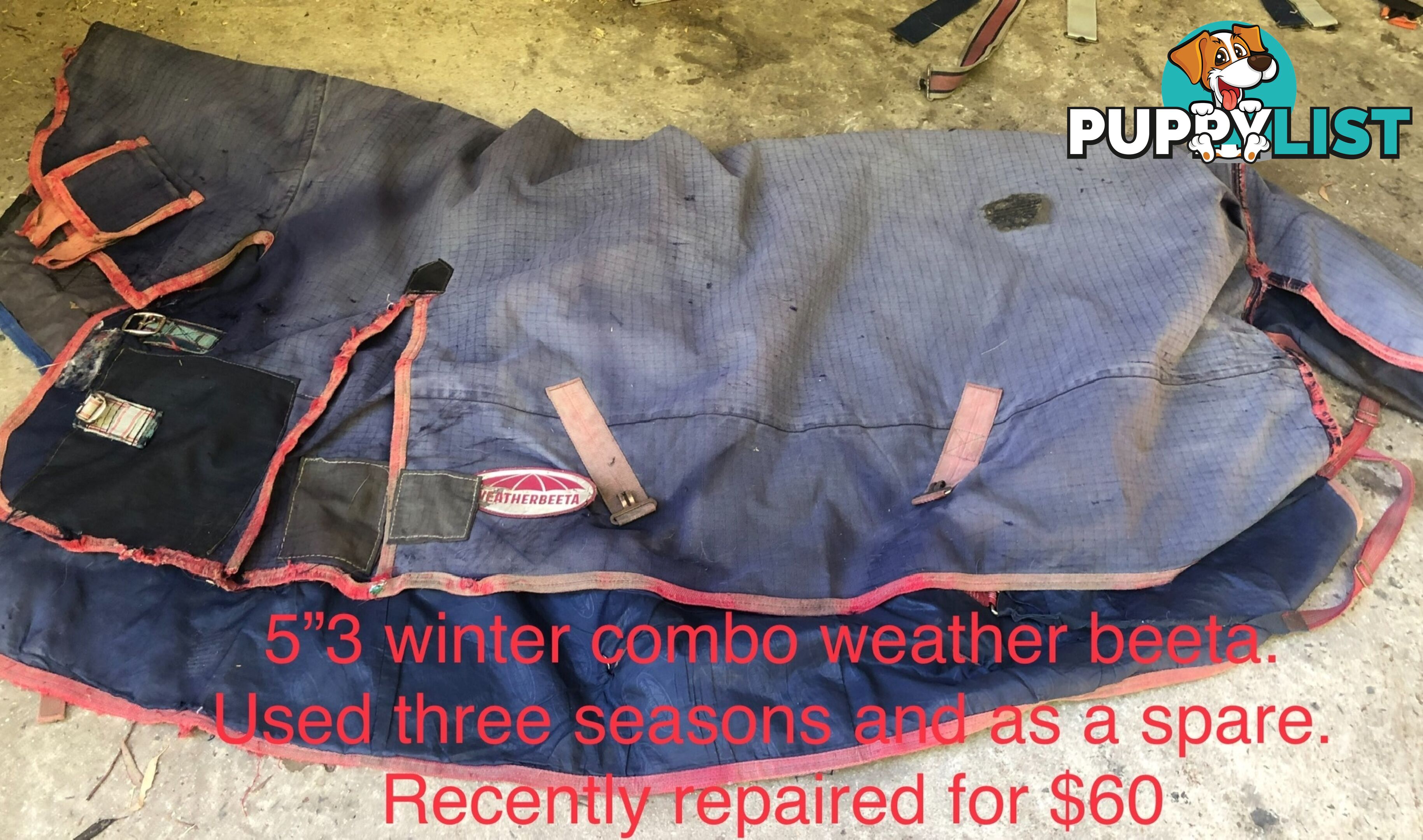 5’3” horse rugs range of cotton, wool, winter standards and combos