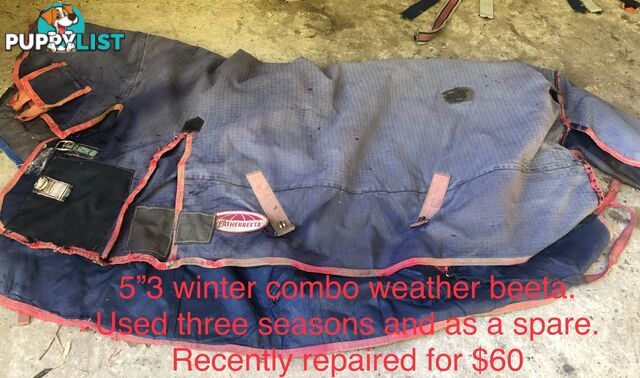5’3” horse rugs range of cotton, wool, winter standards and combos