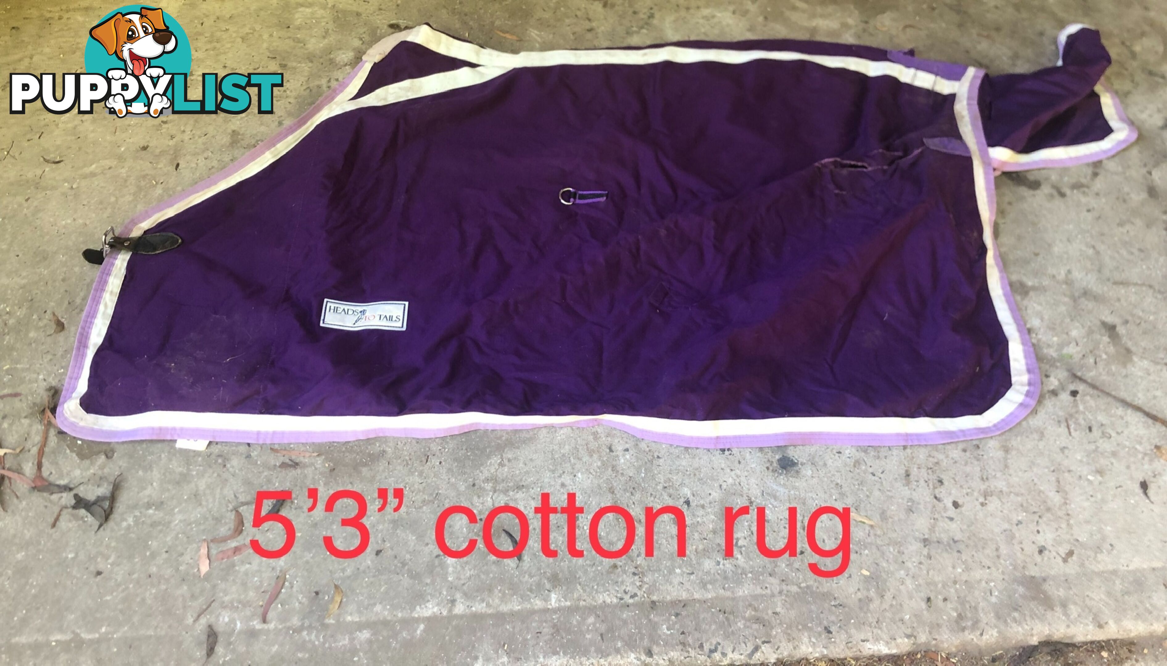 5’3” horse rugs range of cotton, wool, winter standards and combos