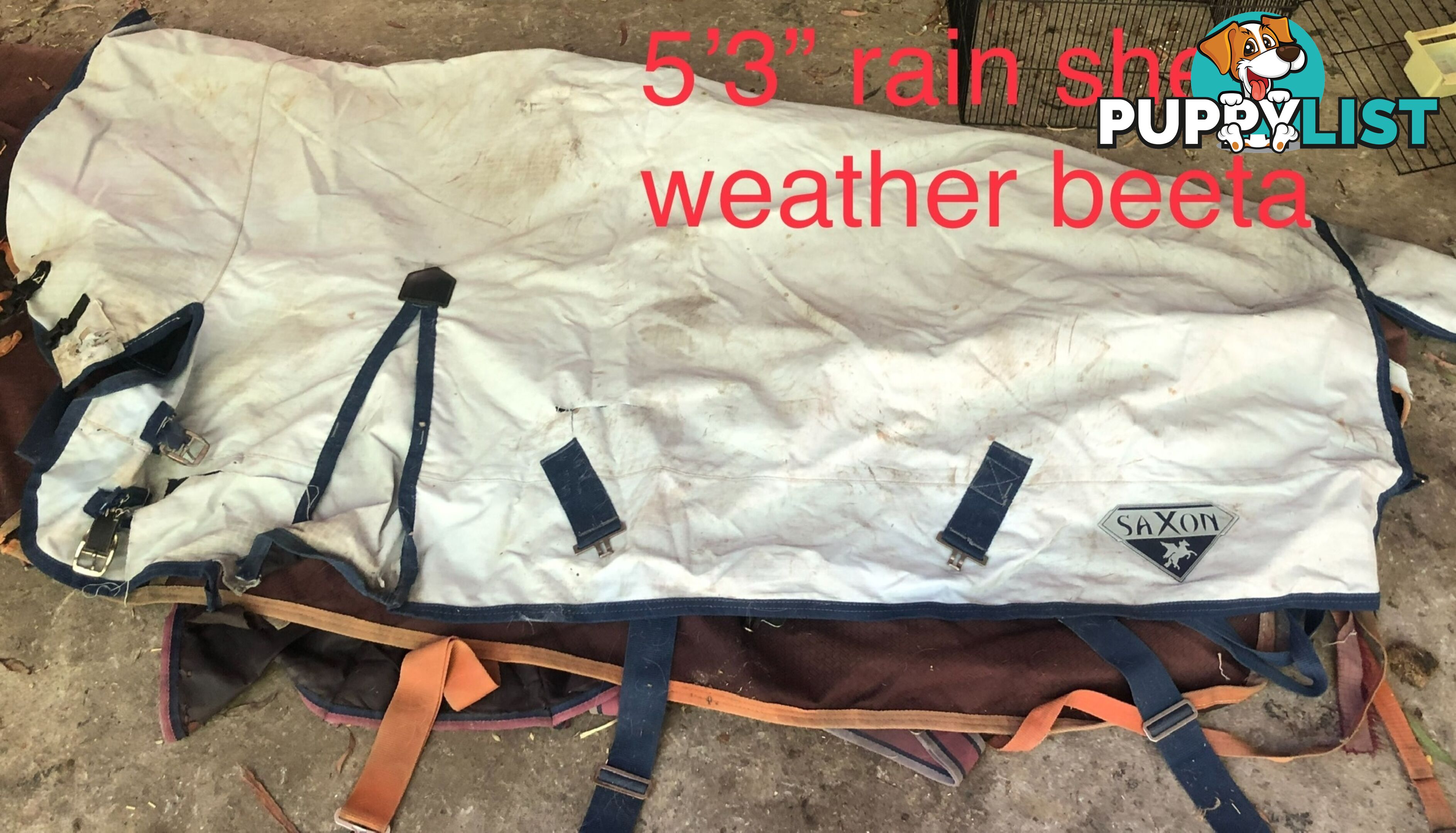 5’3” horse rugs range of cotton, wool, winter standards and combos