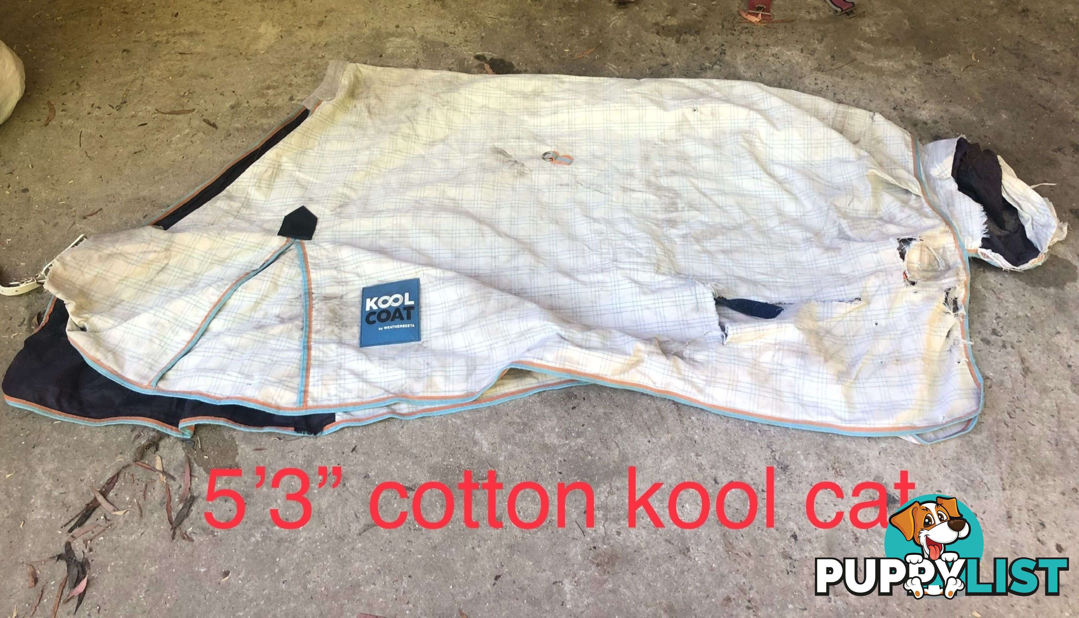 5’3” horse rugs range of cotton, wool, winter standards and combos