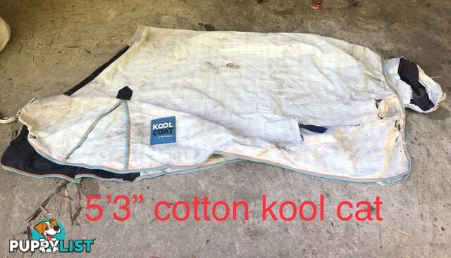 5’3” horse rugs range of cotton, wool, winter standards and combos