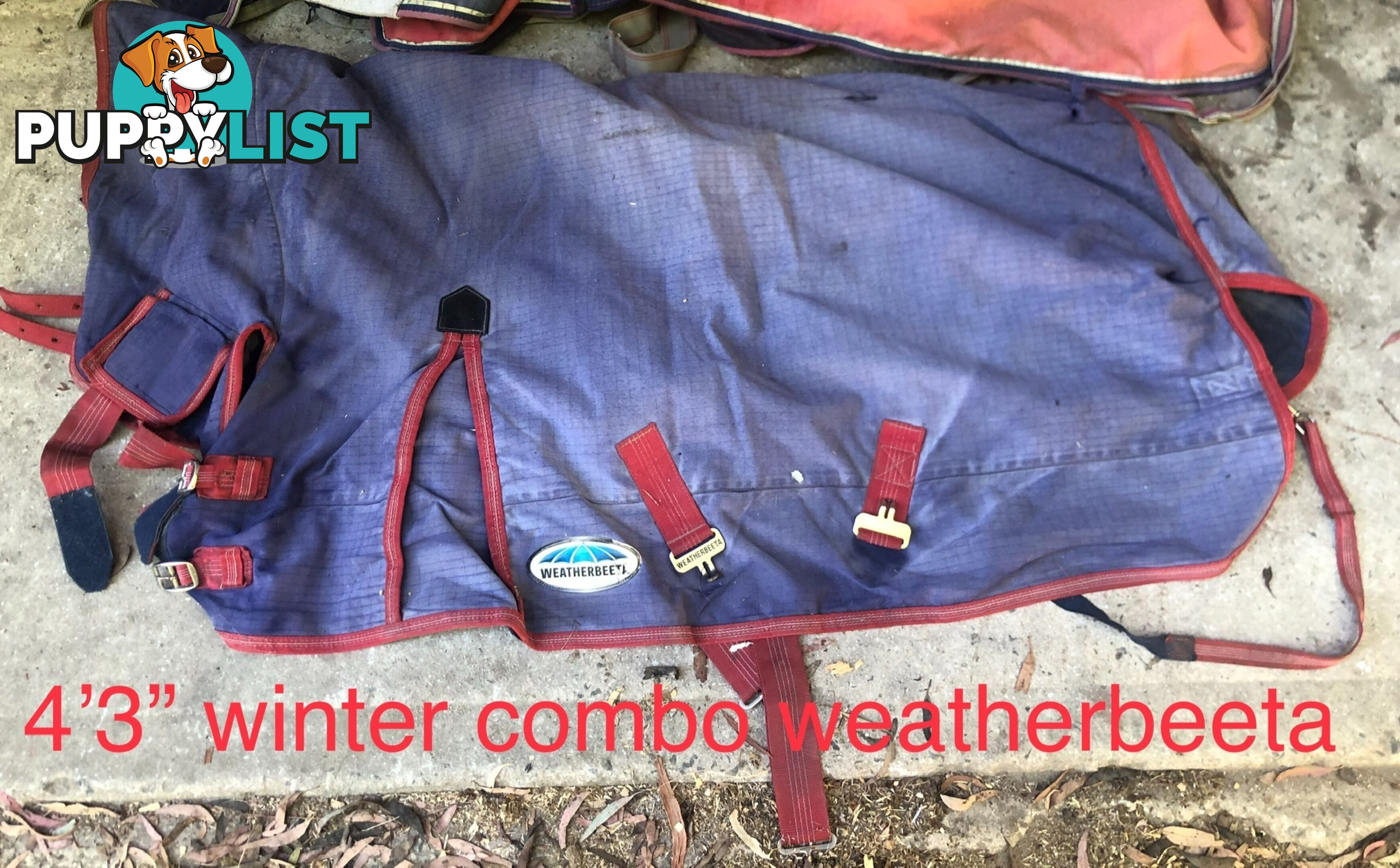 4’3” pony rugs cottons, wool, winter combos and standard