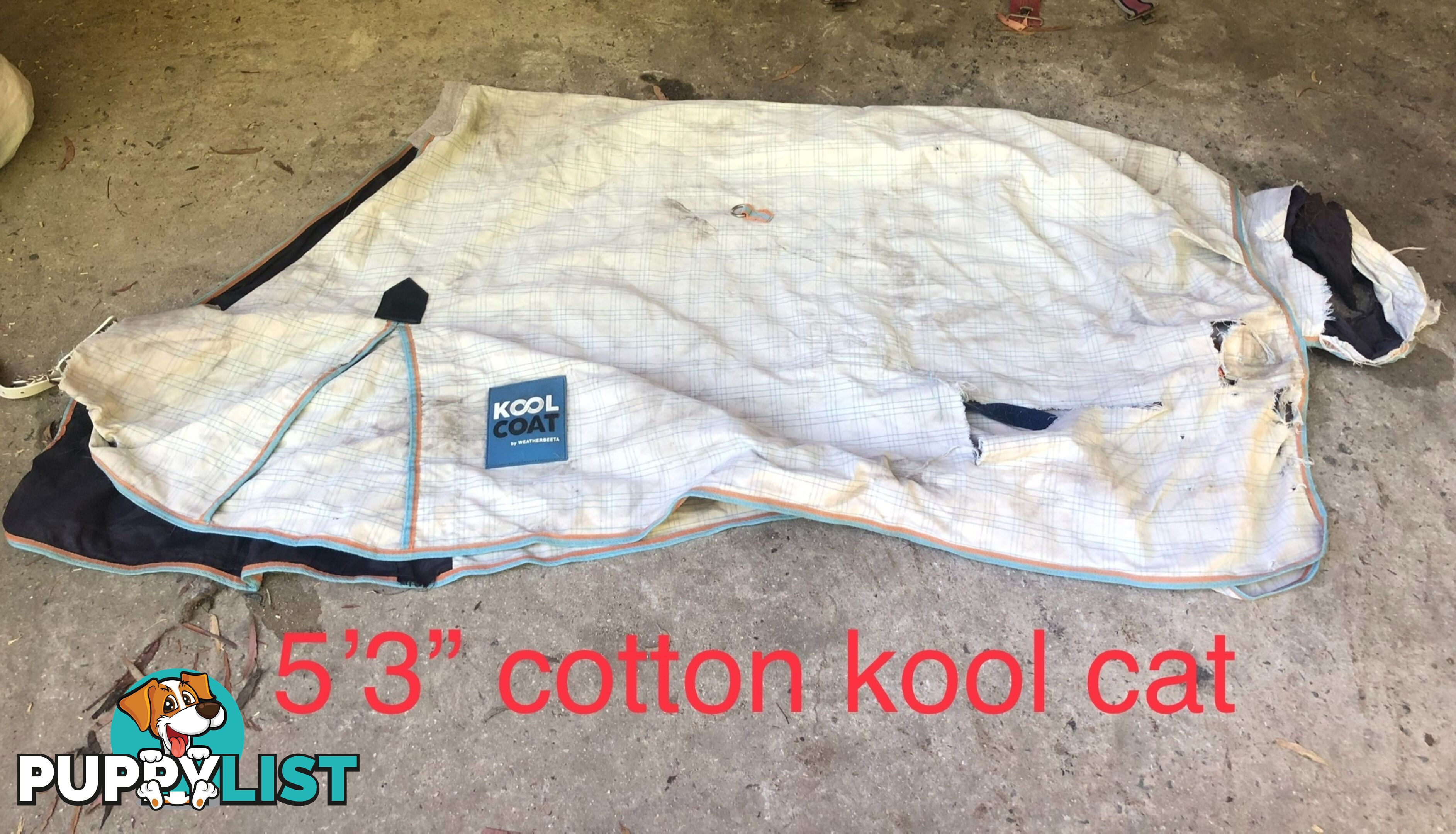 4’3” pony rugs cottons, wool, winter combos and standard