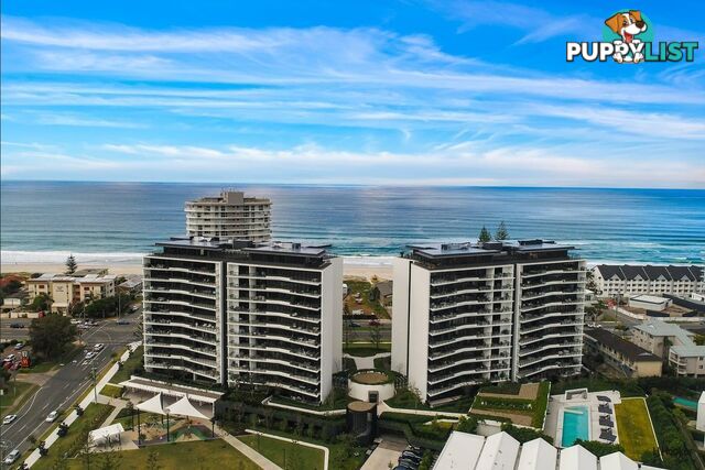 2704/1328 Gold Coast Highway PALM BEACH QLD 4221