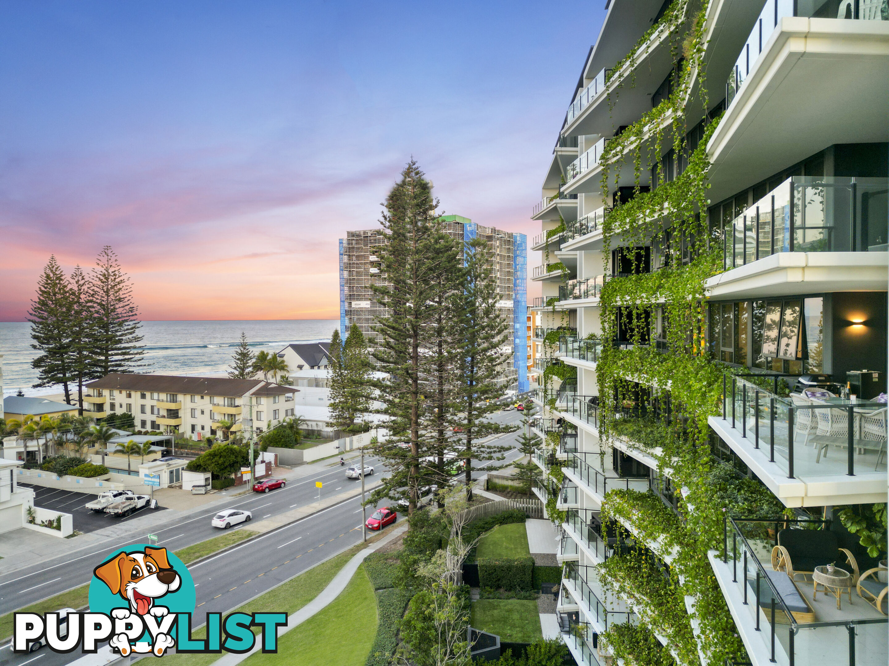 2704/1328 Gold Coast Highway PALM BEACH QLD 4221