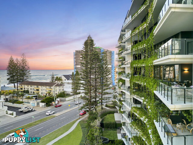 2704/1328 Gold Coast Highway PALM BEACH QLD 4221