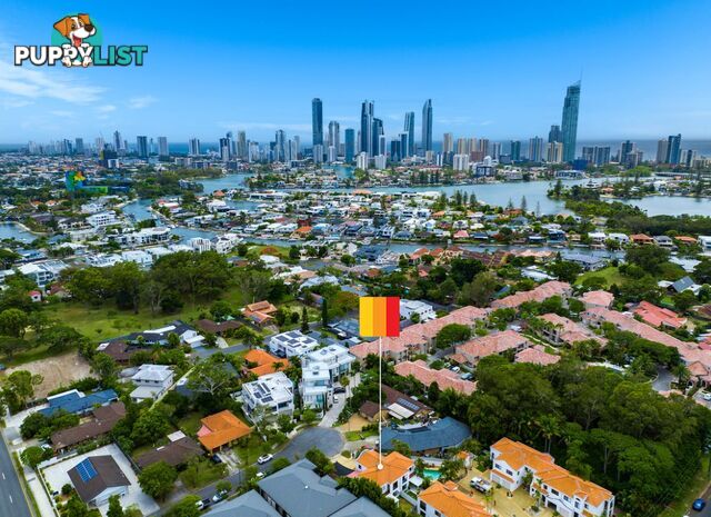 10/15 Esther Place SURFERS PARADISE QLD 4217