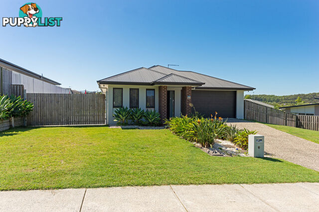 40 Shelduck Street UPPER COOMERA QLD 4209