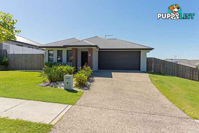 40 Shelduck Street UPPER COOMERA QLD 4209