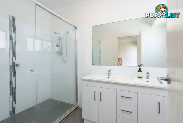 40 Shelduck Street UPPER COOMERA QLD 4209