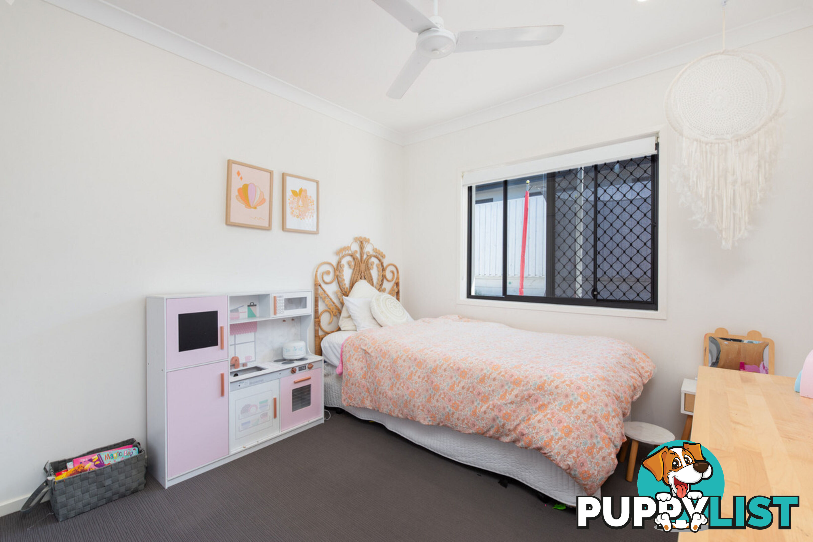 40 Shelduck Street UPPER COOMERA QLD 4209