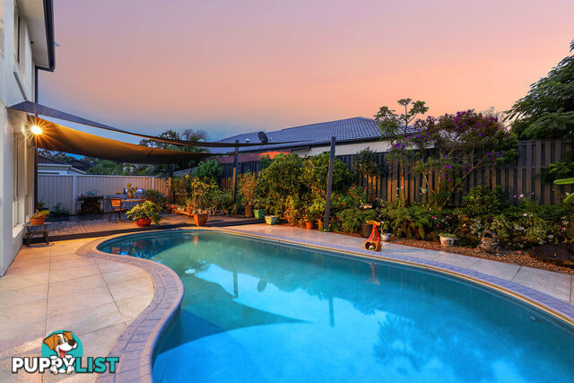 46 Olympus Drive ROBINA QLD 4226