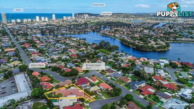 5 Kevin Court MIAMI QLD 4220