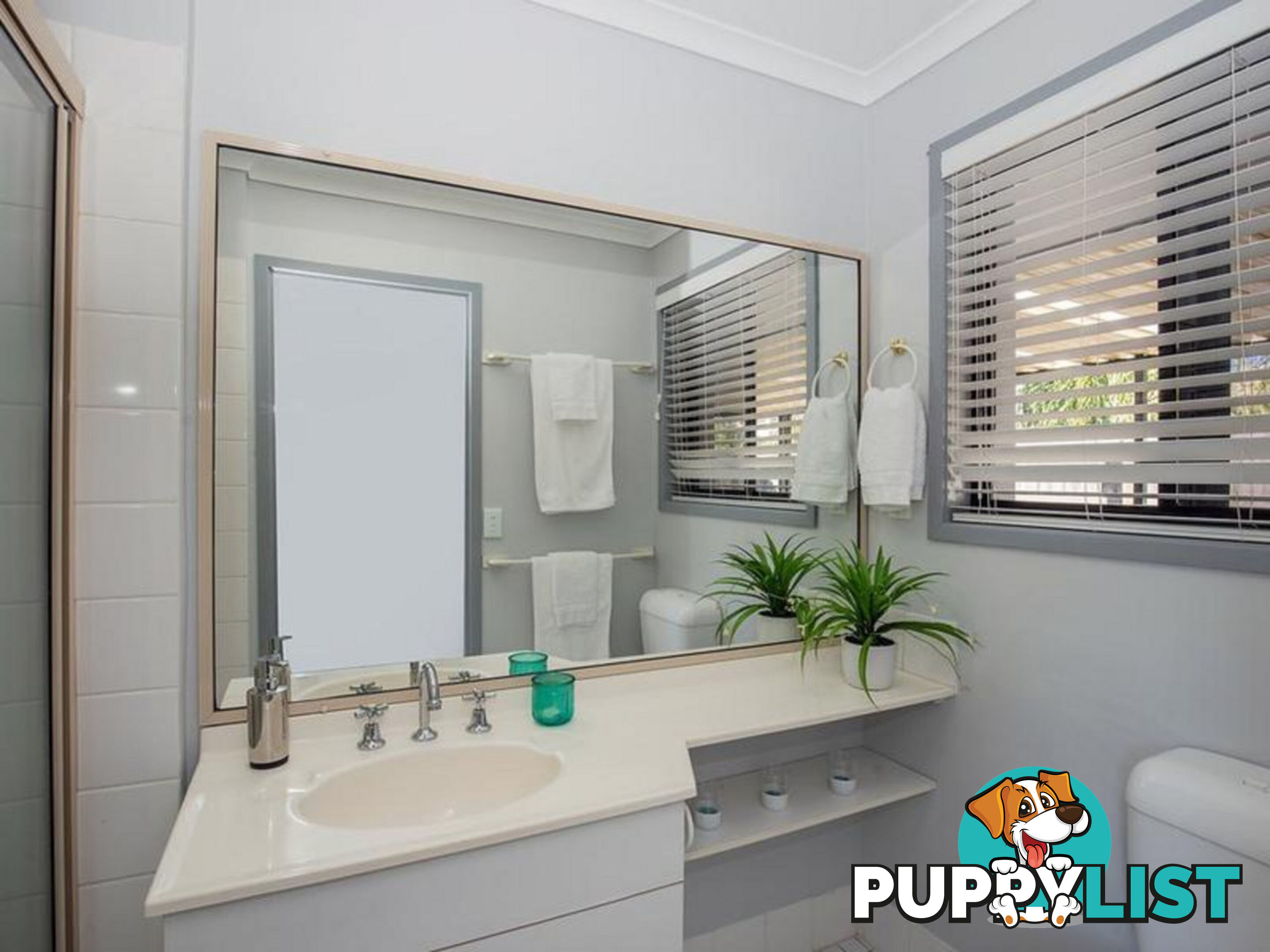 41 Kidman Street ROBINA QLD 4226