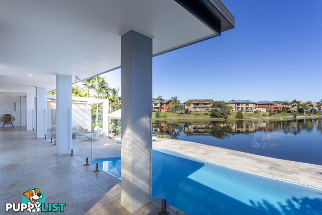 TEN SPOONBILL CRT BURLEIGH WATERS QLD 4220