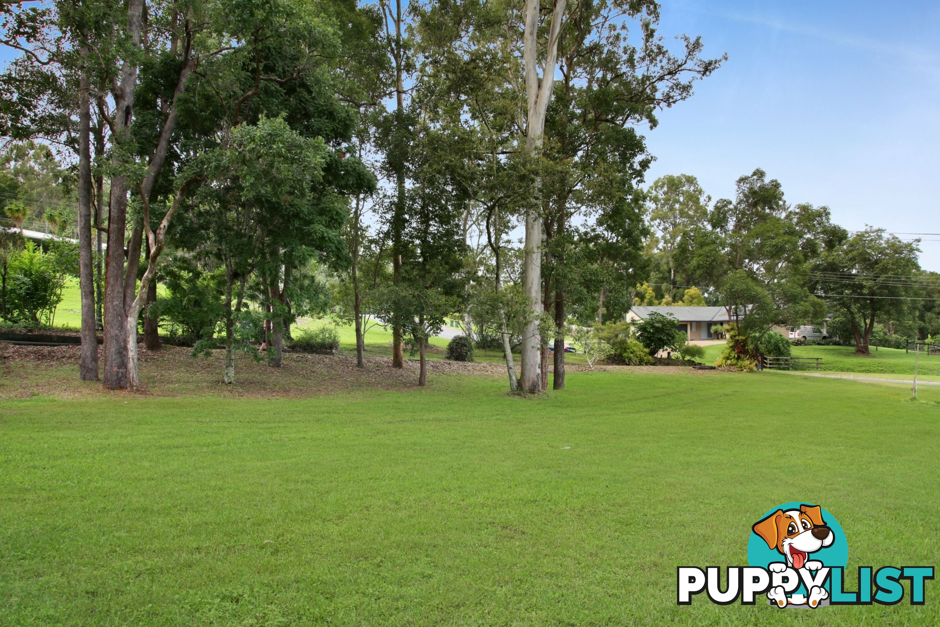 15 Thredbo Drive WORONGARY QLD 4213