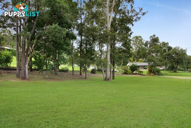 15 Thredbo Drive WORONGARY QLD 4213