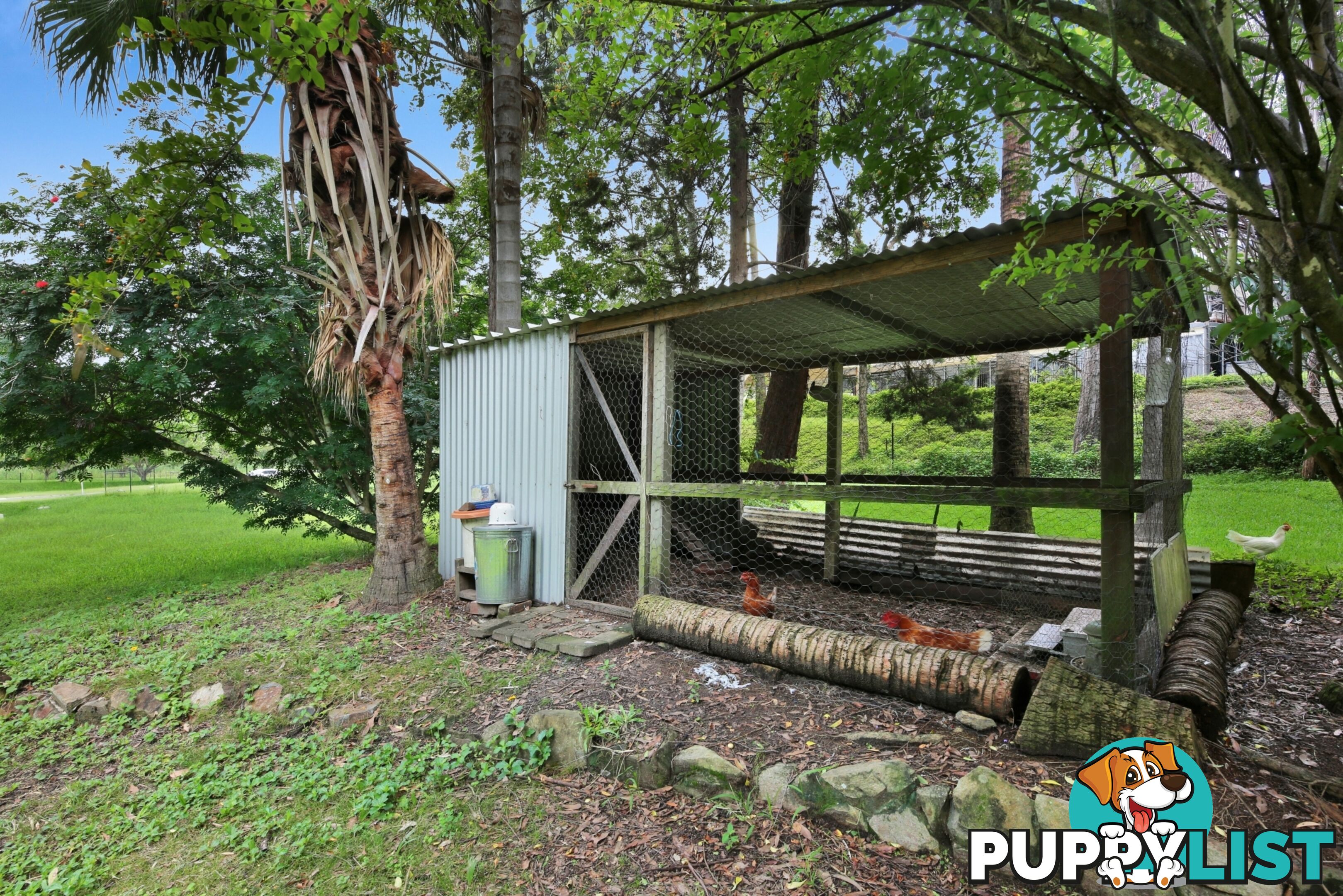 15 Thredbo Drive WORONGARY QLD 4213