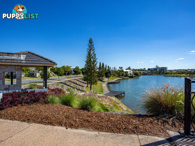 16/31 Port Peyra Crescent VARSITY LAKES QLD 4227