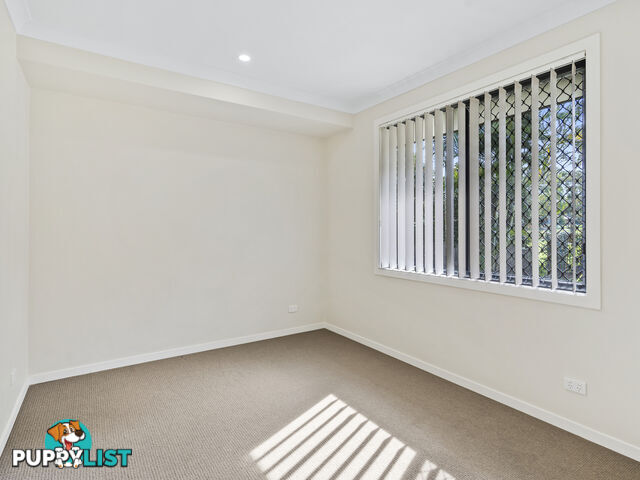 2B Penamber Court BENOWA QLD 4217